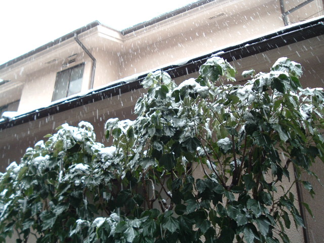 �؂̗t�ɂ�������