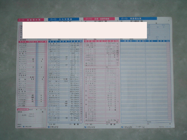 4���Ԃ�̎�