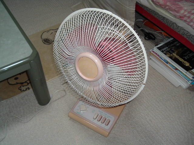 ��@�̑S��