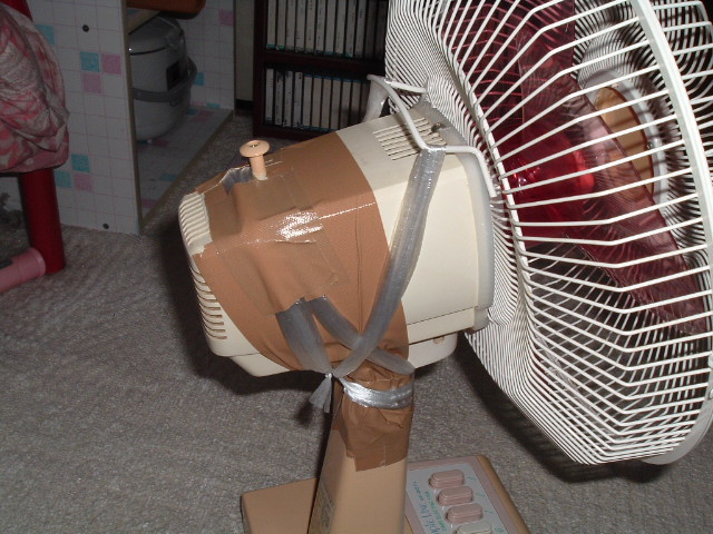 �⋭������̕���