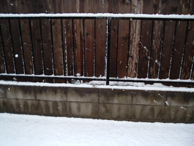 ��ƒn�ʂɐς�������