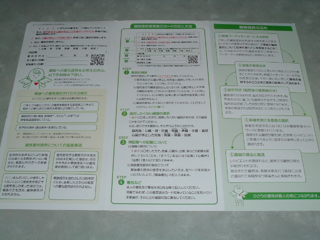 ���݂̐������q1