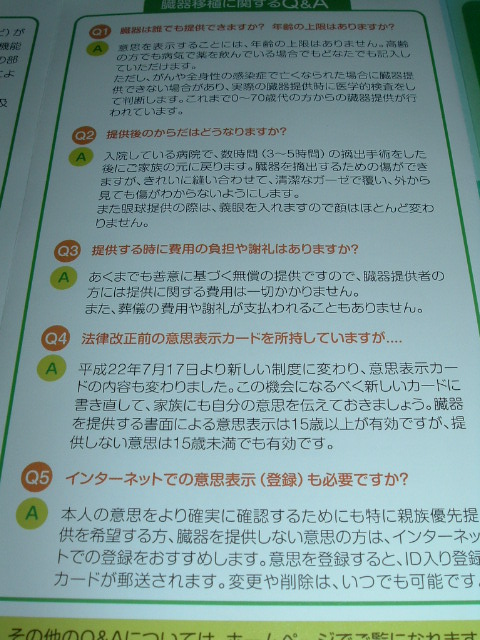 �u�p���`�v�̃A�b�v