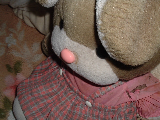 みいたんのアップ