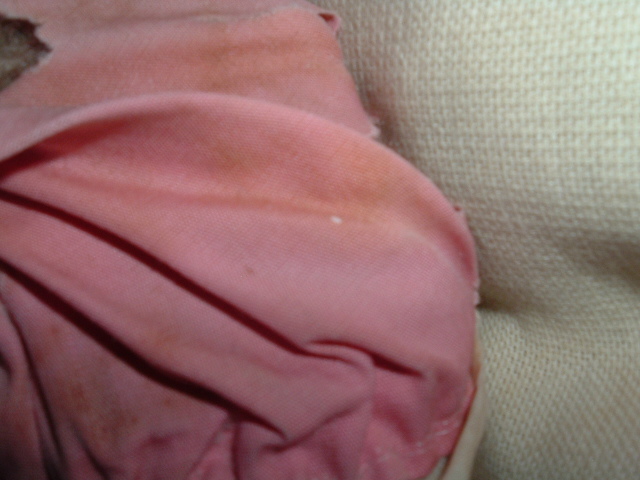 ホワイトのアップ