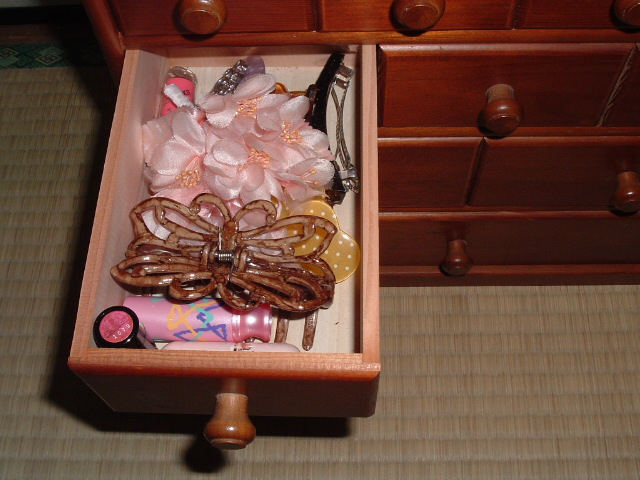 �����o�b�O�̃A�N�Z�T���[