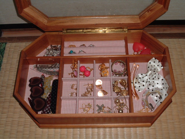 �����o�b�O�̃A�N�Z�T���[