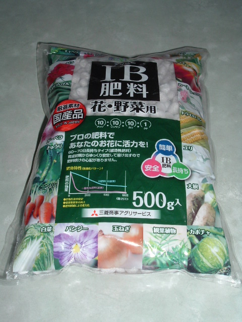 �엿�̑܁i�\�j