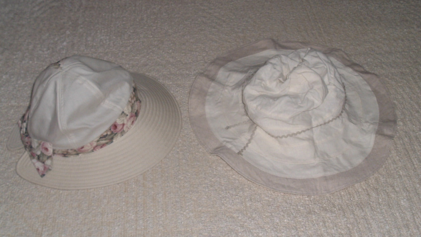 �ԕ����{���̖X�q�Ɣ��̂΍L�X�q