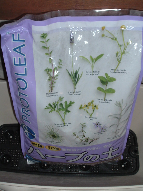 �u�n�[�u�̓y�v