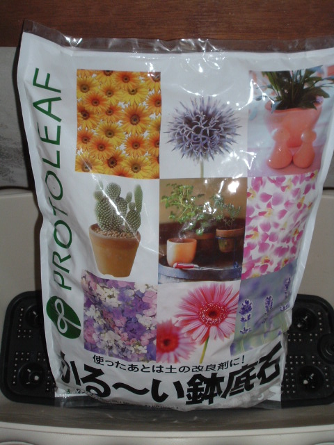 �u����`������΁v