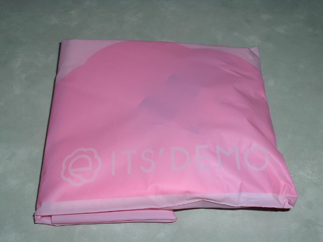 �uITS'DEMO�v�̑�