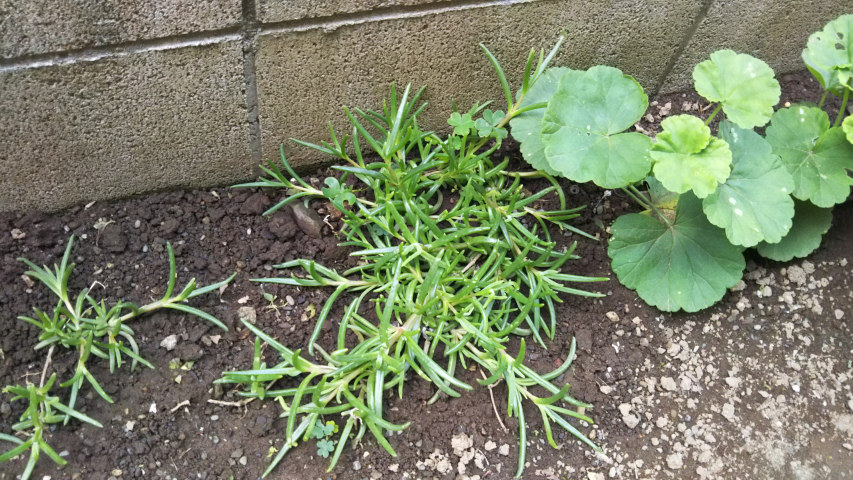 ���t�e�ƃ[���j�E��