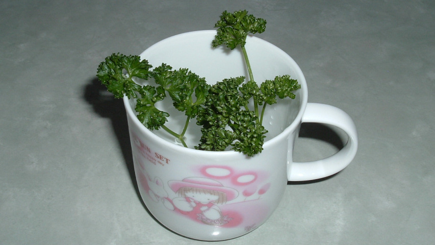 5��30���̃R�b�v�̒��̃p�Z��