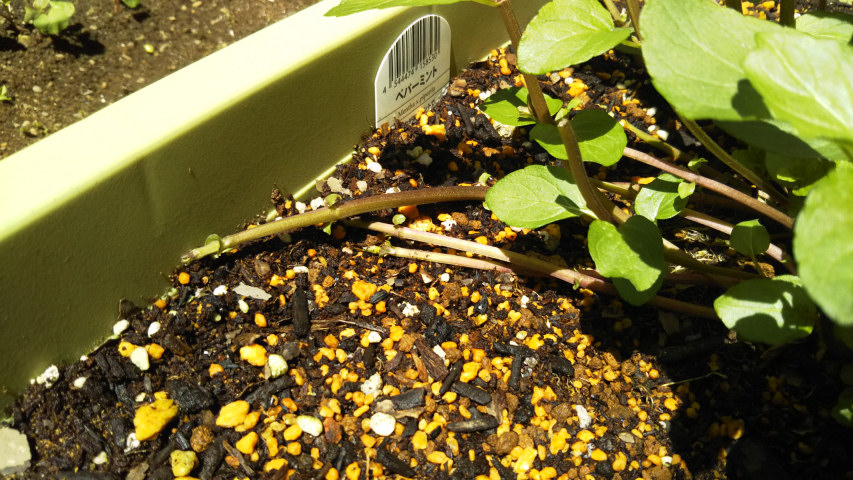 �y�p�[�~���g�̙����s2