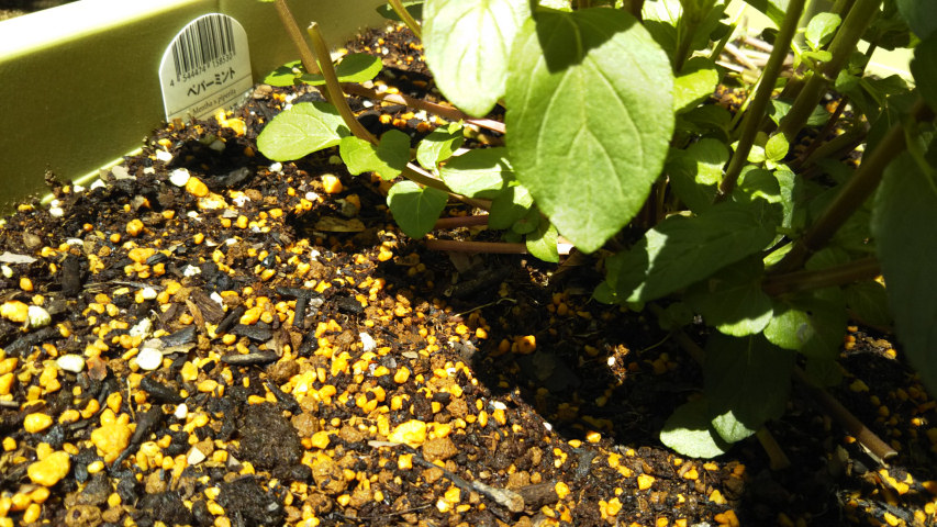 �y�p�[�~���g�̙����s5