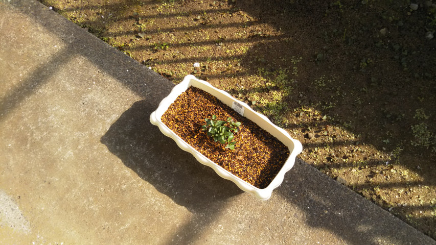 �v�����^�[�ɐA�����y�p�[�~���g1