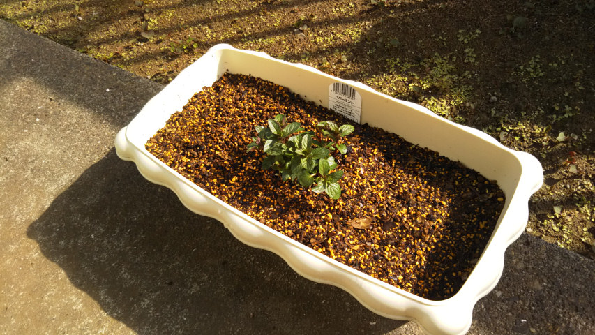 �v�����^�[�ɐA�����y�p�[�~���g2