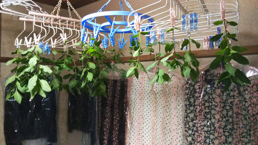 ���n�����t����2