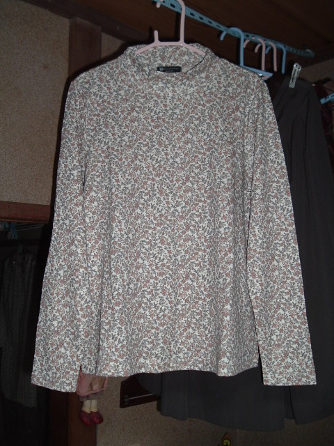 �ԕ��V���c1