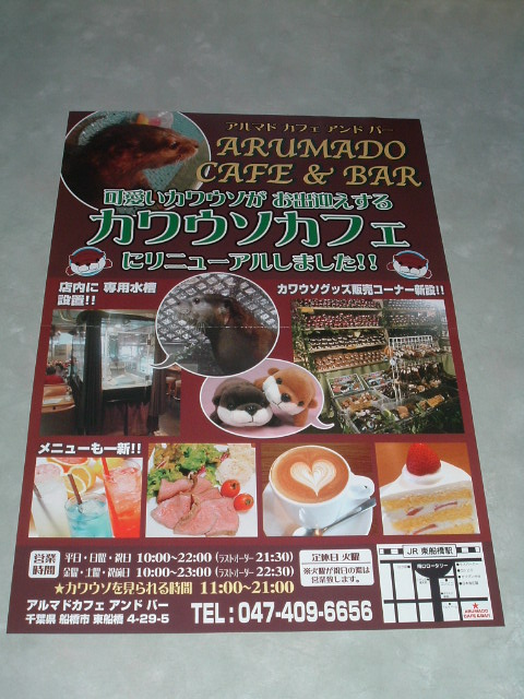 �J���E�\�J�t�F�̃`���V