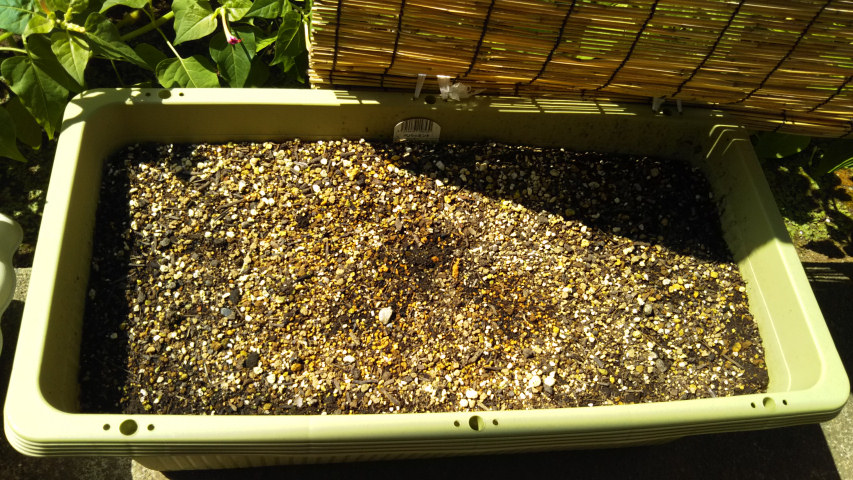 �傫���v�����^�[