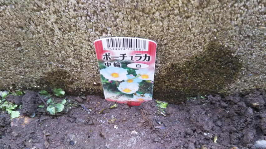 �|�[�`�����J���֔��̎D