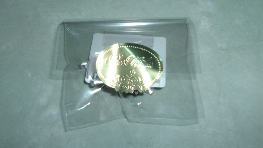 �܂ɓ������C�������O