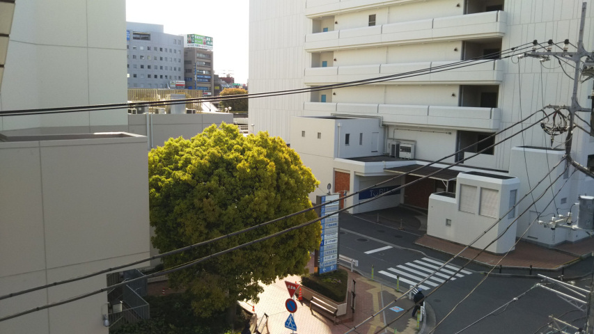 �N���j�b�N���猩�����i2