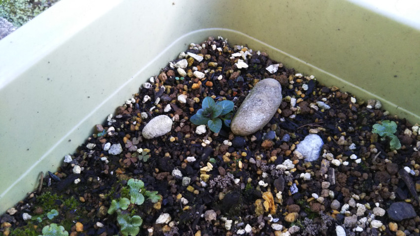 �y�p�[�~���g�̉�3