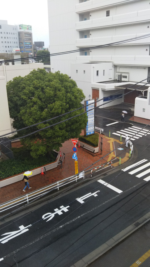 �J�̓��̕��i2