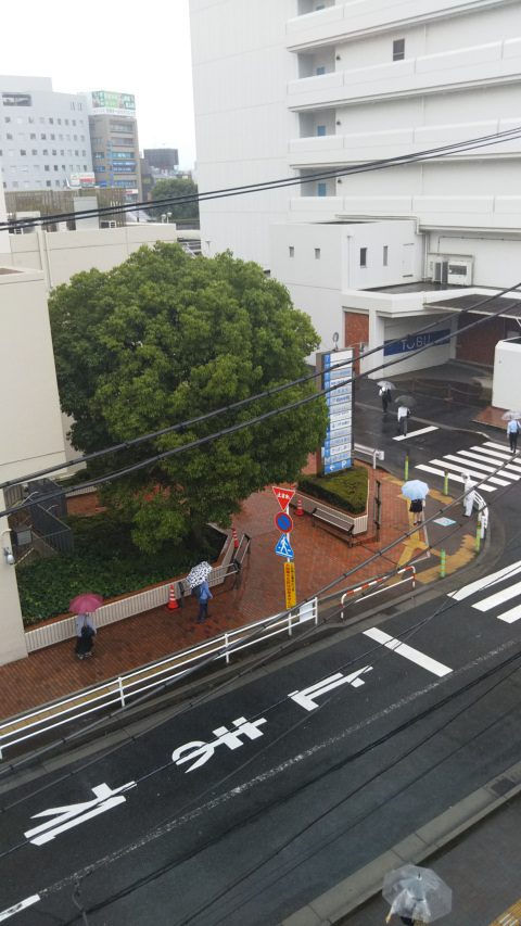 �J�̓��̕��i5