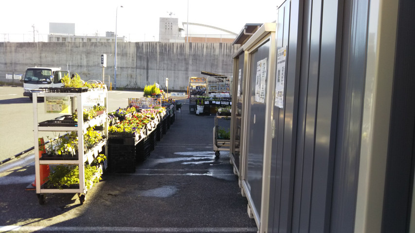 �P�[���[�f�C�c�[�̒��ԏꑤ�����1