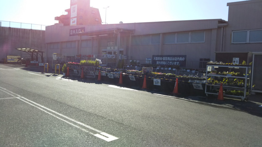 �P�[���[�f�C�c�[�̒��ԏꑤ�����2