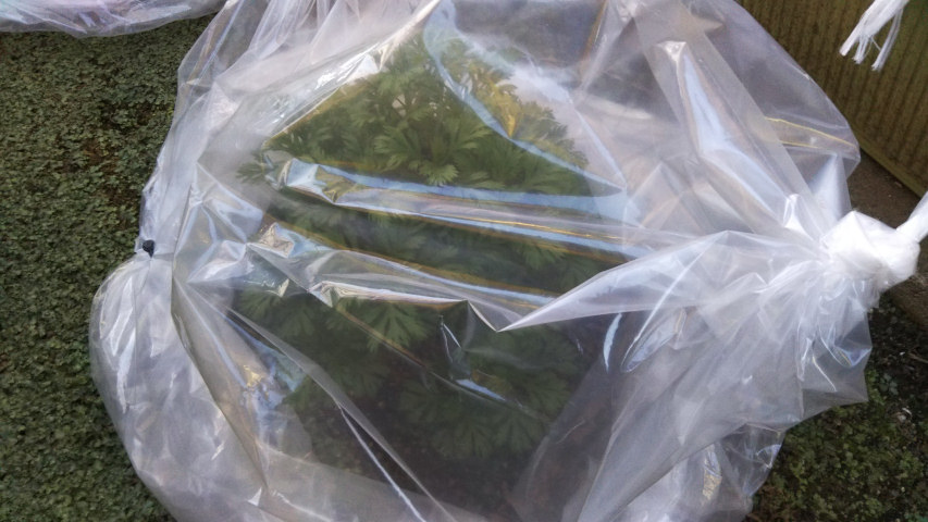 �܂ŕ������}�[�K���b�g2