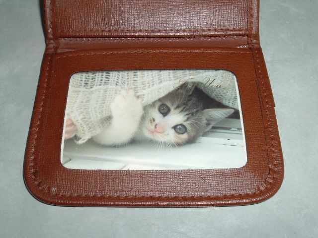 �s�[�^�[���r�b�g�̒������4