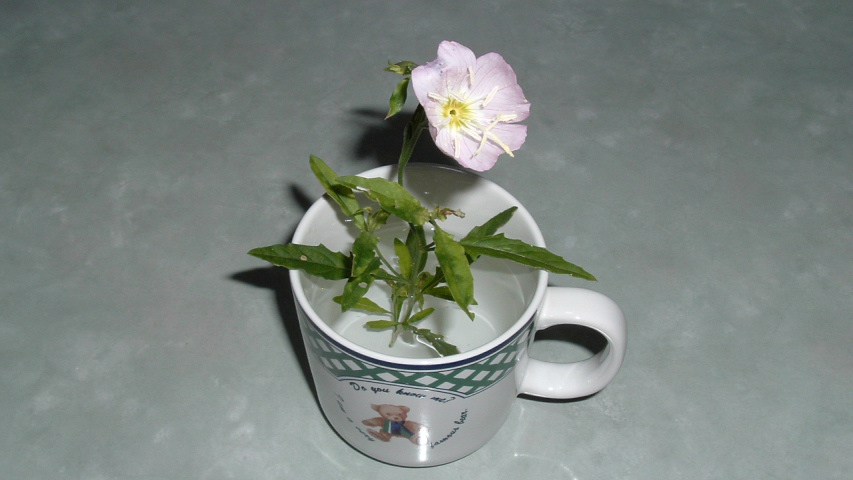 �q���U�L�c�L�~�\�E