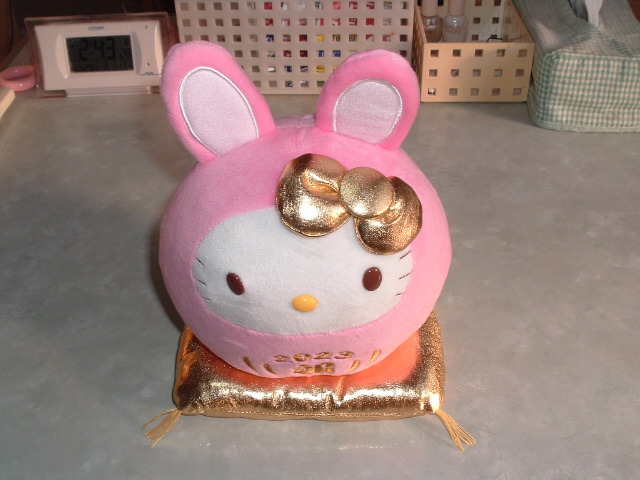 ���ʂ��猩���ʂ������