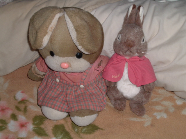 ���ʂ��猩���ʂ������