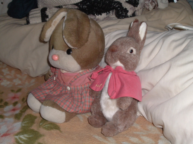 �΂߂��猩���ʂ������