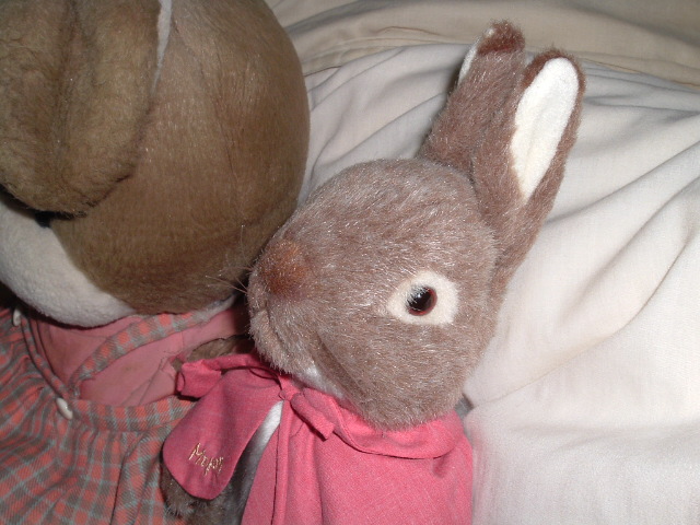 �΂߂��猩���ʂ�����݂̃A�b�v