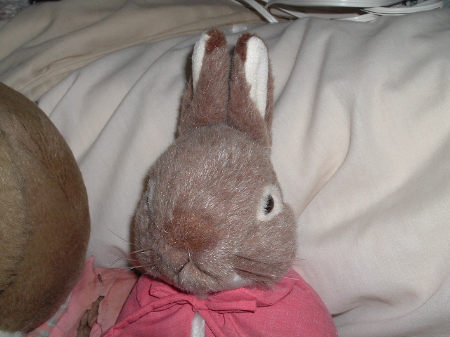 ���ʂ��猩���ʂ�����݂̃A�b�v