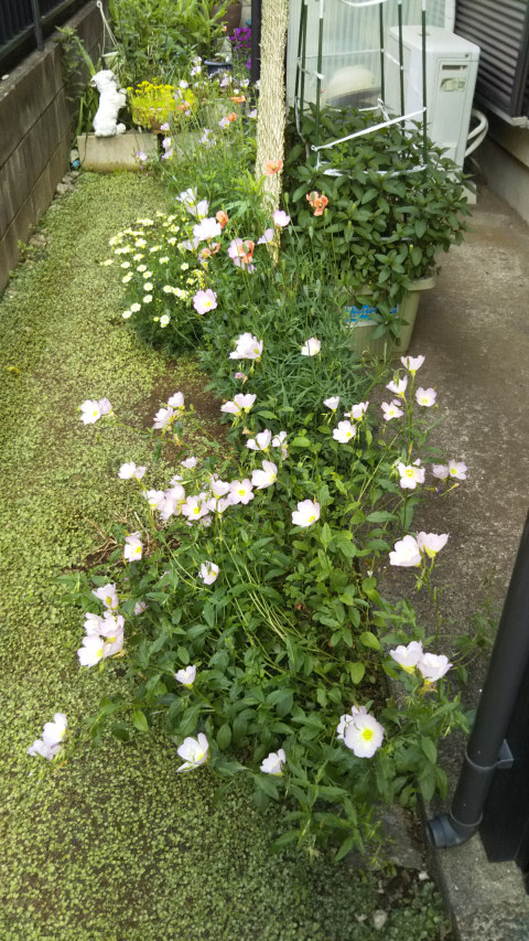 ���猎����1