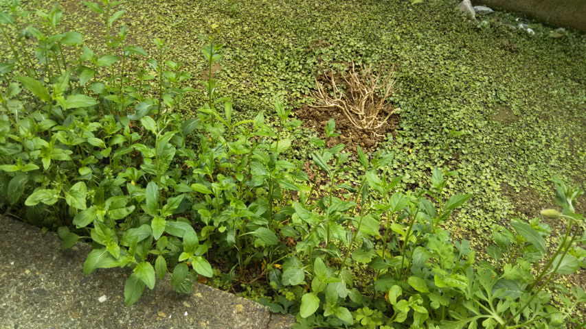 ���O���킩��Ȃ���2