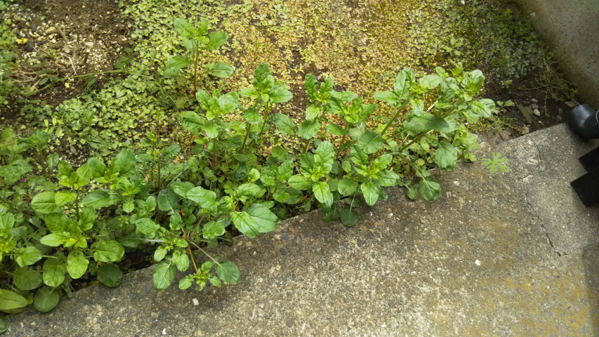 ���O���킩��Ȃ���4