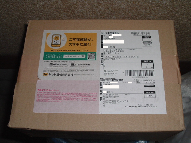 ���k��w�L�O�O�b�Y�̔�