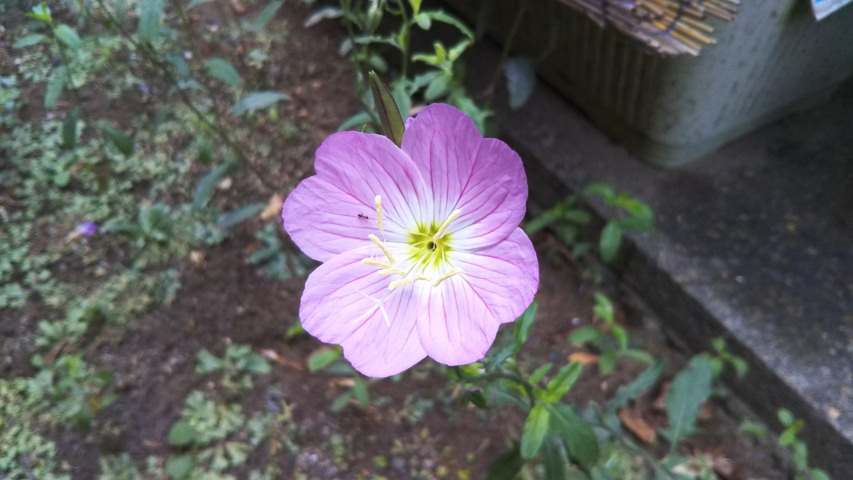 ���猎����2