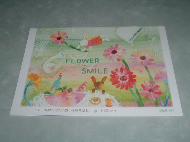 ������G�J�����_�[