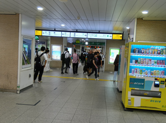 �D���w�̉��D��