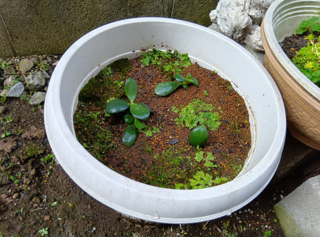 ���̂Ȃ��1